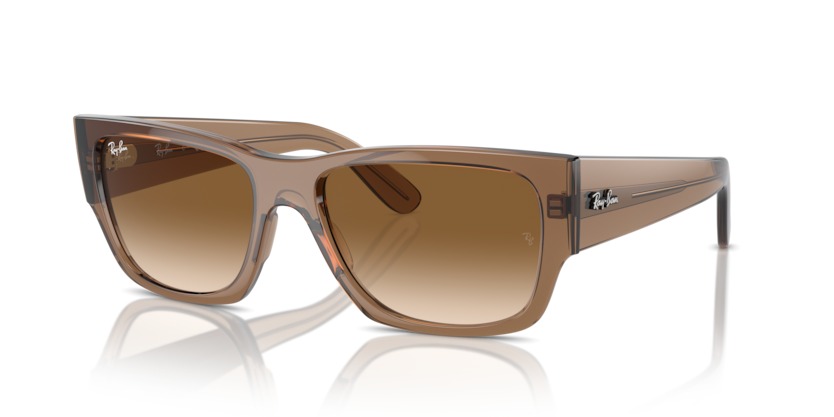 RAY BAN CARLOS — 2