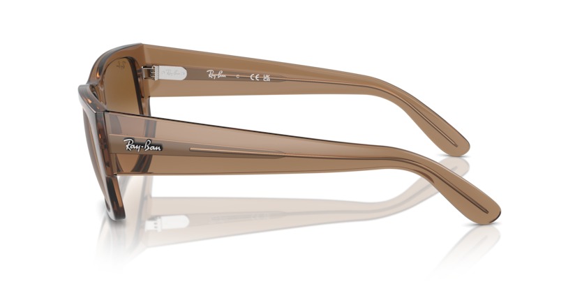 RAY BAN CARLOS — 3