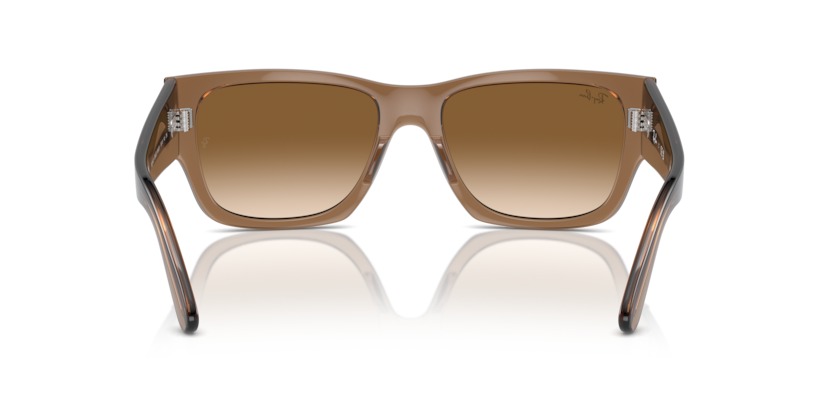 RAY BAN CARLOS — 4
