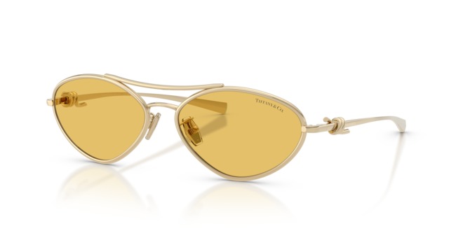 TIFFANY & CO. TIFFANY & CO. — 2