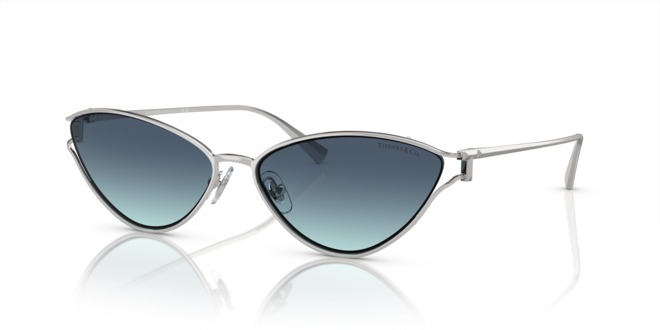 TIFFANY & CO. TIFFANY & CO. — 2