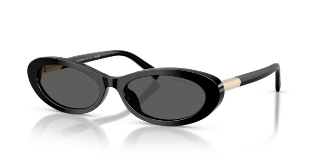 TIFFANY & CO. TIFFANY & CO. — 2