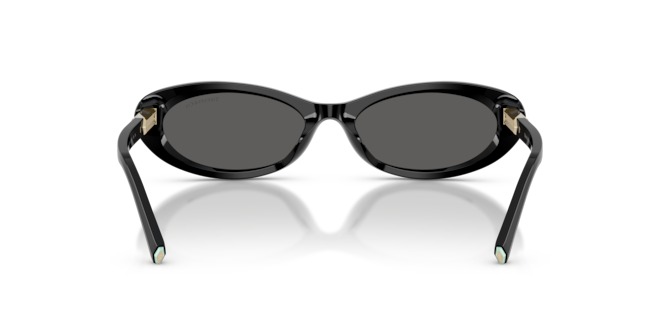 TIFFANY & CO. TIFFANY & CO. — 4