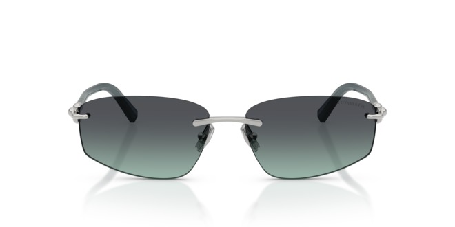 TIFFANY & CO. TIFFANY & CO. — 1