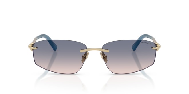 TIFFANY & CO. TIFFANY & CO. — 1