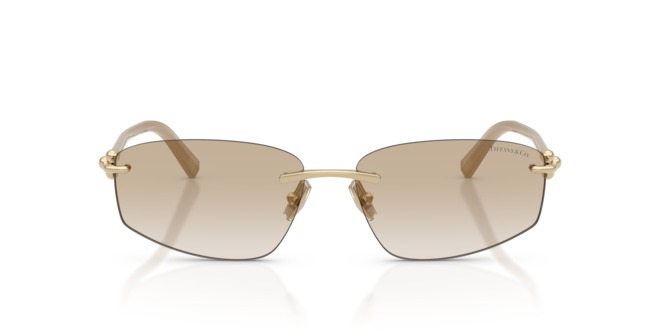 TIFFANY & CO. TIFFANY & CO. — 1