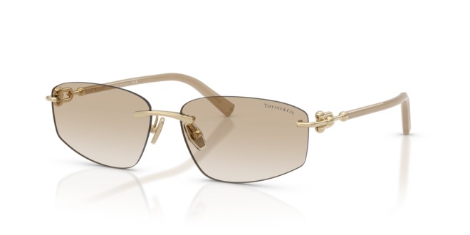 TIFFANY & CO. TIFFANY & CO. — 2