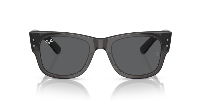 RAY BAN MEGA WAYFARER — 1