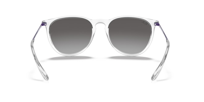 RAY BAN ERİKA — 4