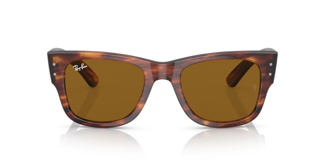 RAY BAN MEGA WAYFARER