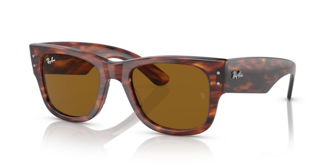 RAY BAN MEGA WAYFARER — 2