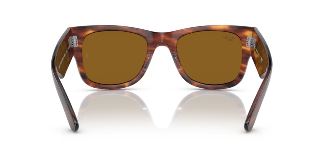 RAY BAN MEGA WAYFARER — 4